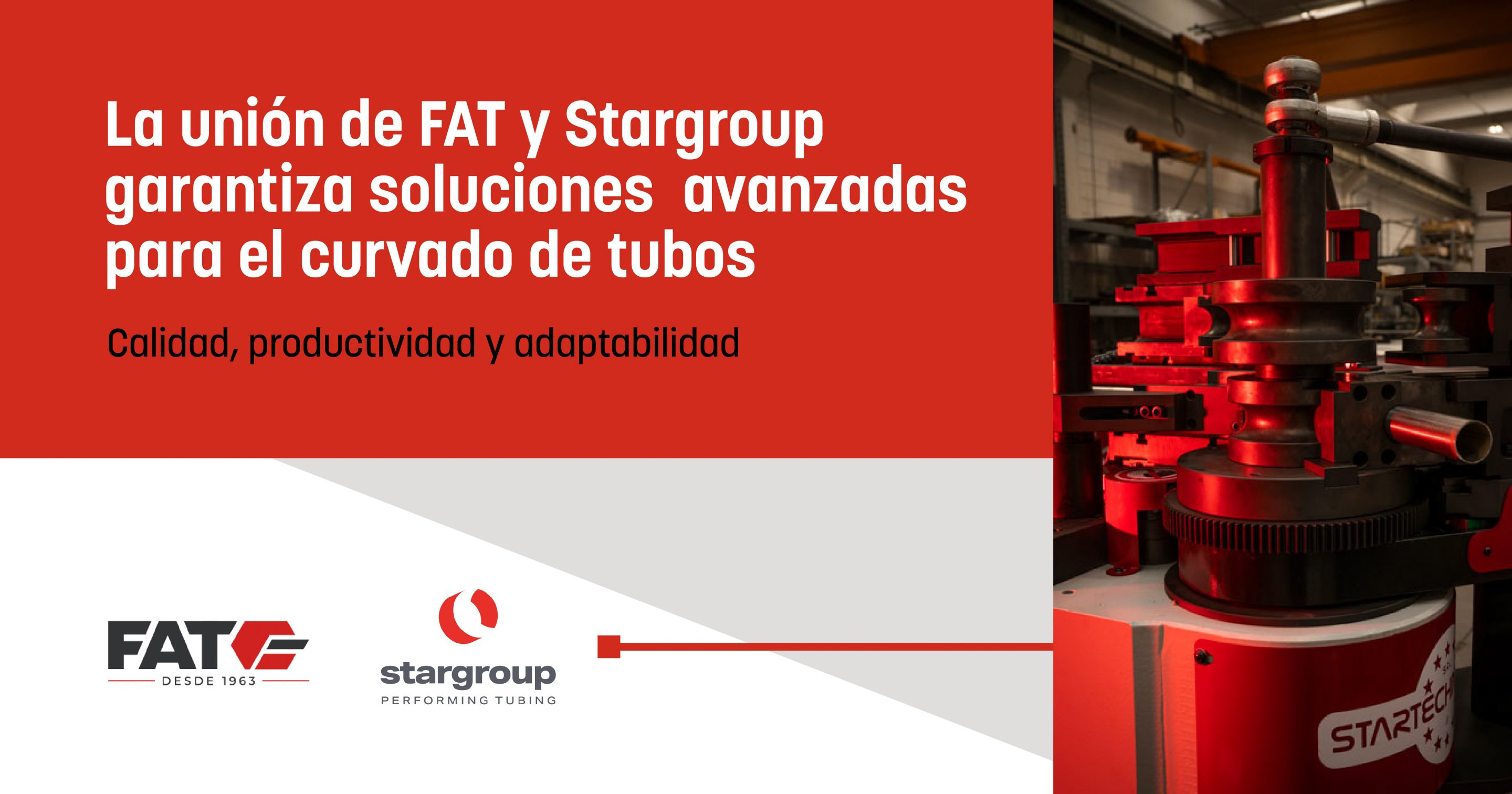 FAT_Stargroup_Curvadoras